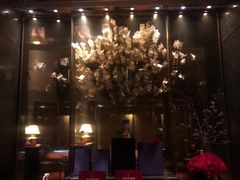 -金轩中餐厅 Jin Xuan(浦东丽思卡尔顿酒店)