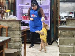 -刘妈菜馆(磁器口店)