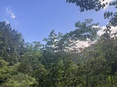 -五龙源极限漂流