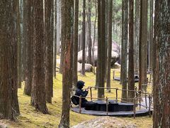 -玉苍山国家森林公园