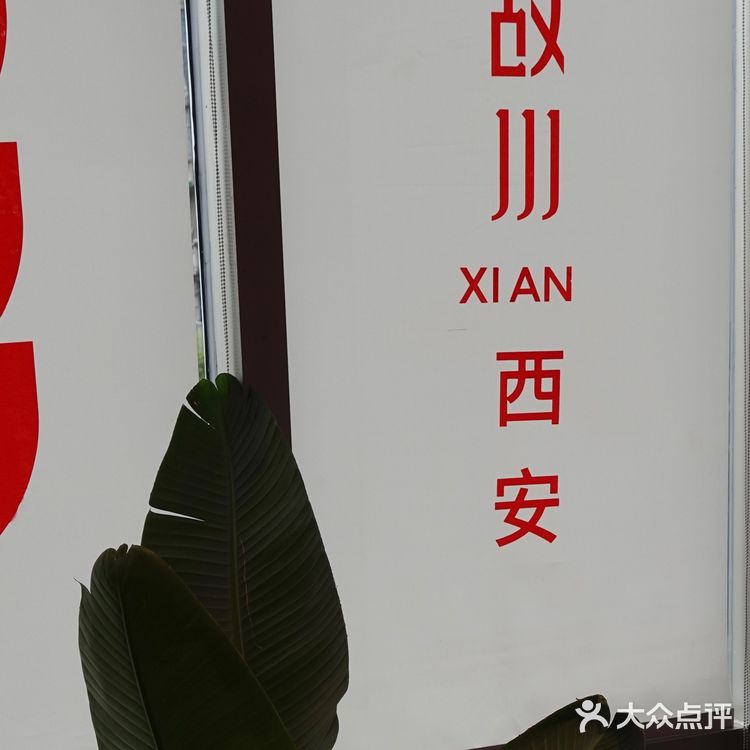 成都探店|春熙路最爽口的毛肚火锅