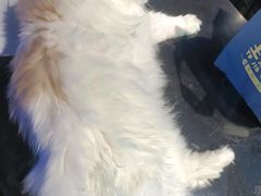 -暗楼·剧本杀·桌游