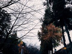 -南京城墙景区