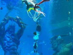 -哈尔滨波塞冬海底世界