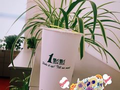 -1点点(东鼎店)