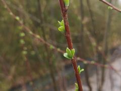 -白塘生态植物园