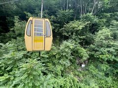 -东天目山风景区