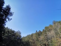 -四明山国家森林公园