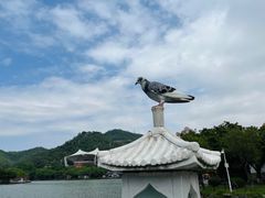 -珠海圆明新园