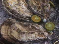 -深蓝金枪·深海鱼刺身(香洲店)