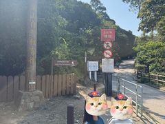 -狮子山郊野公园