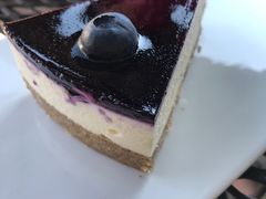 -Torch Coffee 炬点咖啡