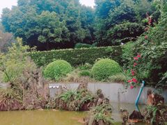 -重庆平顶山公园