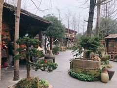 -青城甲(青城山店)