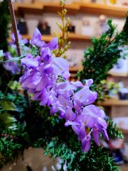 -今日陶艺(富力广场店)