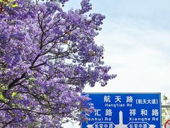 -西昌邛海宾馆