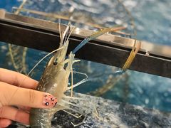 -SHRIMP CLUB万东餐饮钓虾·清吧