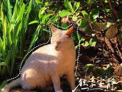 -马栏河运动公园