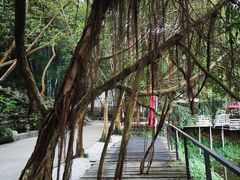 -老木棉·匠园