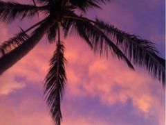 iphone_upload_pic-丹绒亚路香格里拉