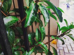 -玲珑汤泉生活会馆(花桥店)