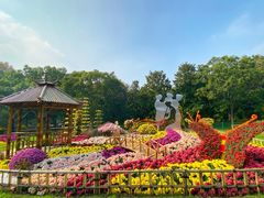 -上海共青森林公园