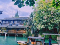 -乌镇西栅景区