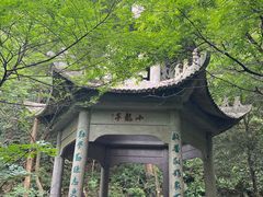 -北仑森林植物园