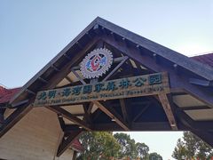 -上海海湾国家森林公园