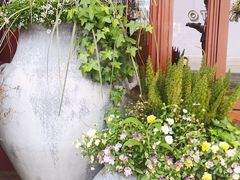 -ZHAO赵·牛扒坊(万象城店)