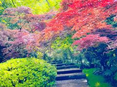 -南京市江宁方山