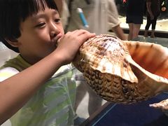 -青岛贝壳博物馆