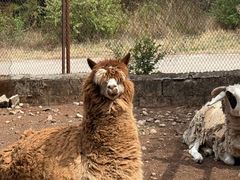-猎鹰谷实弹射击俱乐部