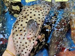 -四川小胡子海鲜(丁村万人海鲜广场店)