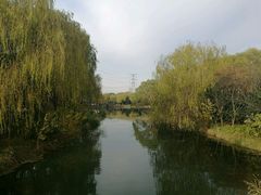 -昆山城市生态森林公园