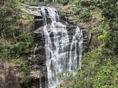-海南热带雨林国家公园吊罗山景区