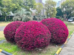 -瑞慈体检上海徐汇机构