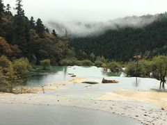 -黄龙山原始森林景区