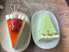 开心果千层-叶太YETAI(良库店)