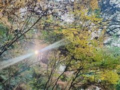 -梦姑塘文化公园