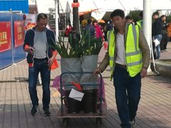 -珠海市体育中心-游泳馆