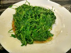 豆苗-王家沙点心店(南京西路总店)
