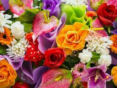 -铁山坪森林公园