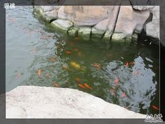 -开封府