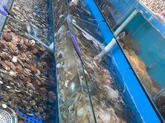 -港畔赶海蒸汽海鲜烧烤自助(仙螺岛店)