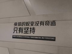 -威尔仕健身·游泳(中港汇店)