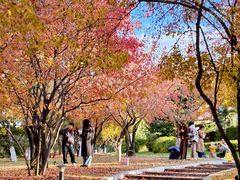 -长春世界雕塑园冰雪艺术天地