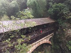 -祁门牯牛降观音堂风景区