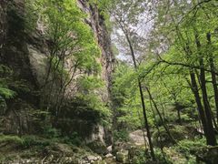 -牛背梁国家森林公园
