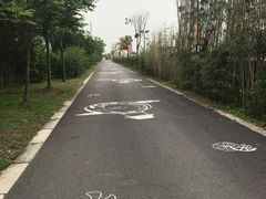 -菊园百果园